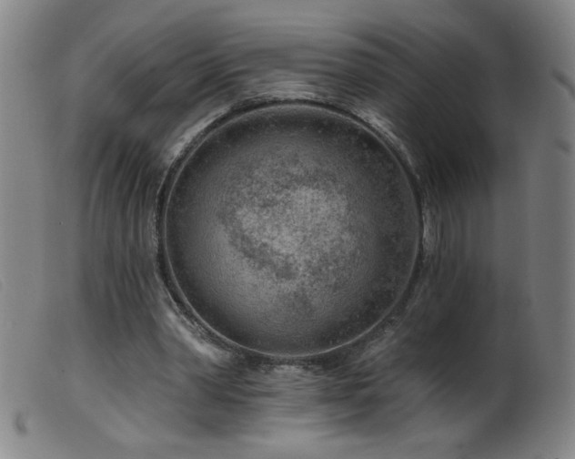 X0000099540390200805161433