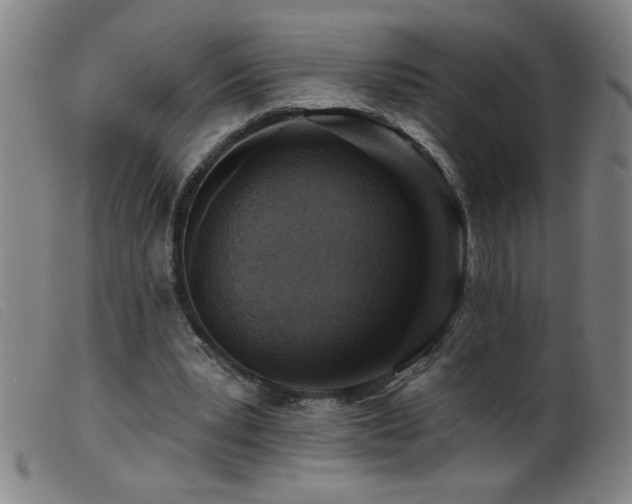 X0000099540391200805161433