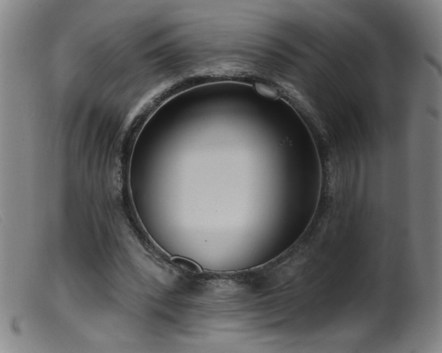 X0000099540392200805161433