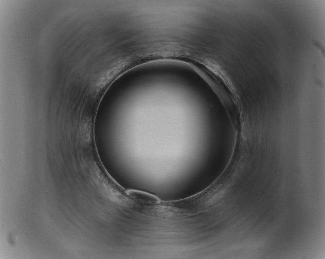 X0000099540393200805161433