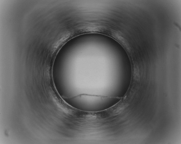 X0000099540394200805161433