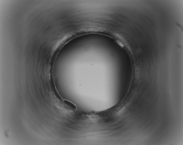 X0000099540395200805161433