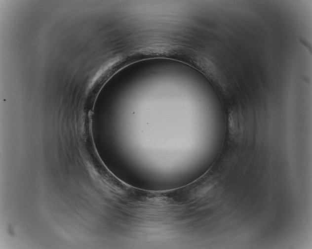 X0000099540396200805161433