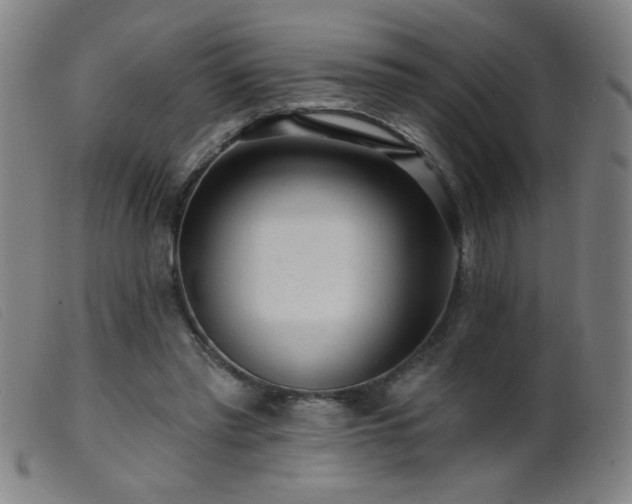 X0000099540397200805161433