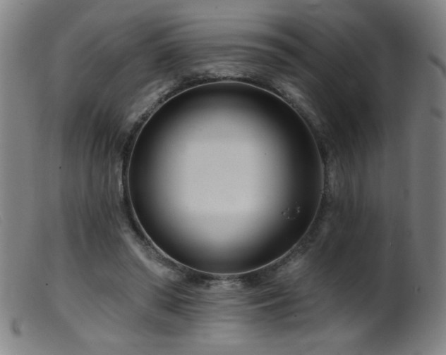 X0000099540398200805161433