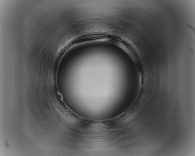 X0000099540399200805161433