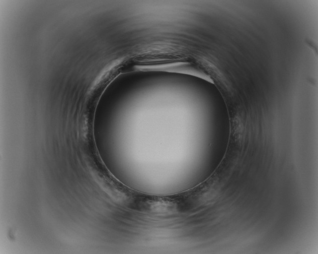 X0000099540400200805161433