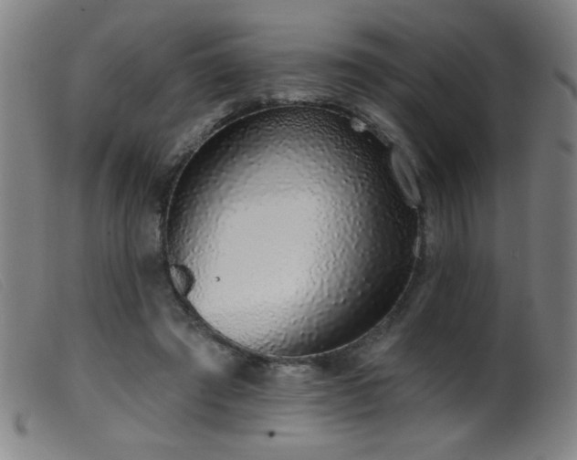 X0000099540401200805161433