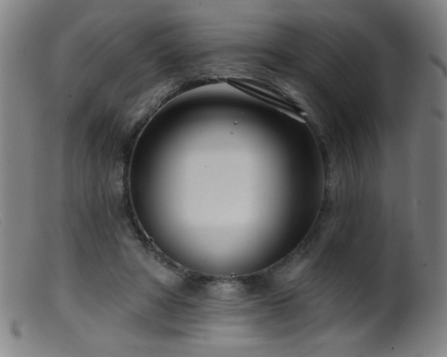 X0000099540402200805161433