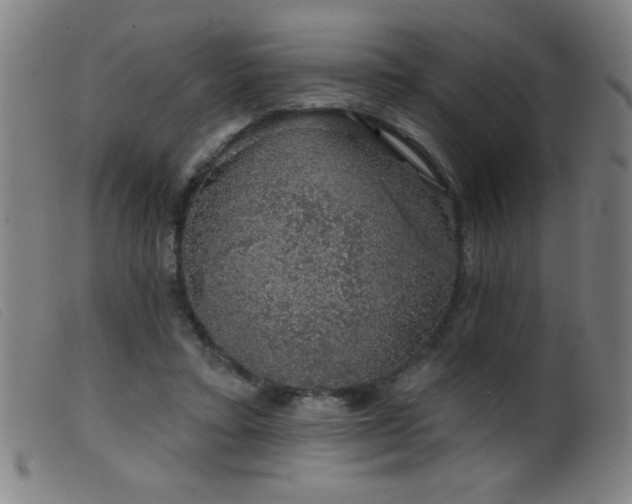 X0000099540403200805161433