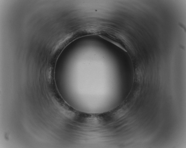 X0000099540404200805161432