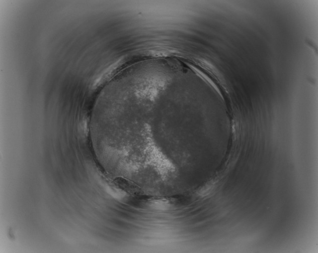 X0000099540405200805161432