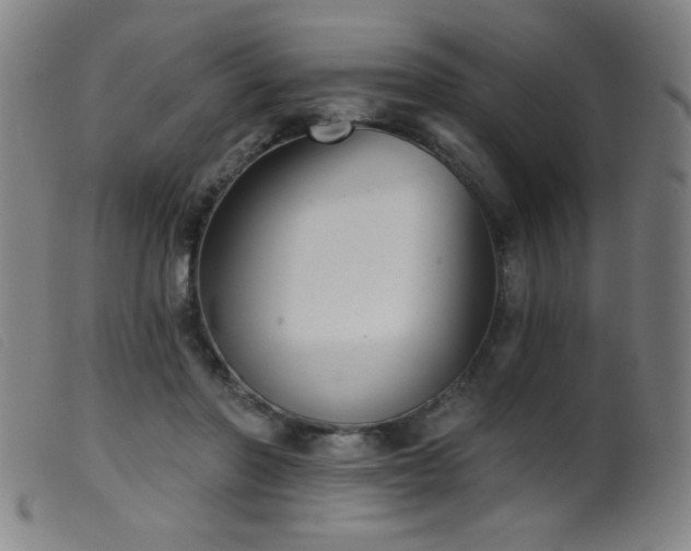 X0000099540406200805161432