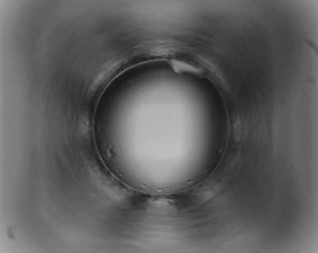 X0000099540407200805161432