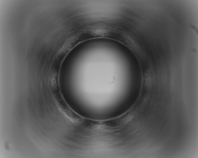 X0000099540408200805161432