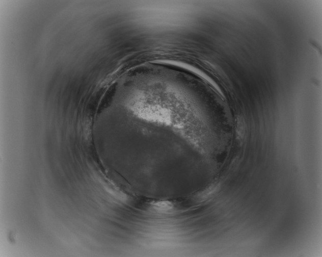 X0000099540409200805161432