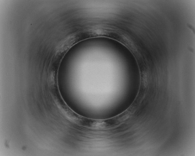 X0000099540410200805161432