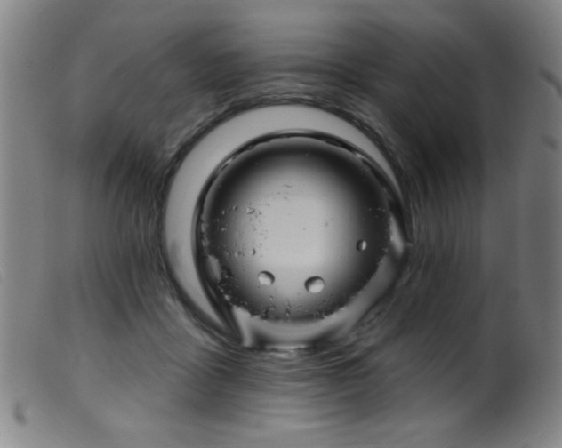 X0000099540411200805161432