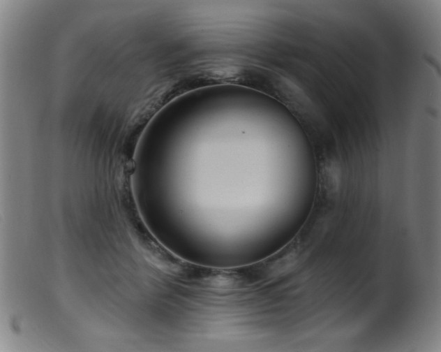 X0000099540412200805161432