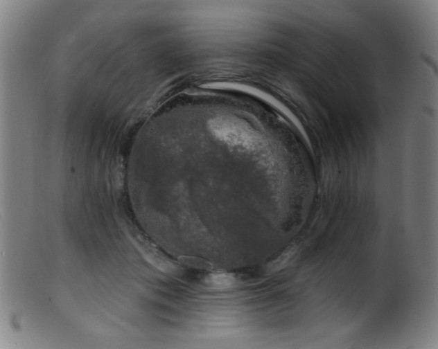 X0000099540413200805161432