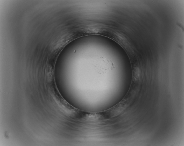 X0000099540414200805161432