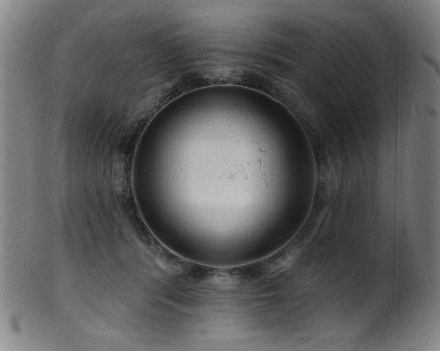 X0000099540416200805161432