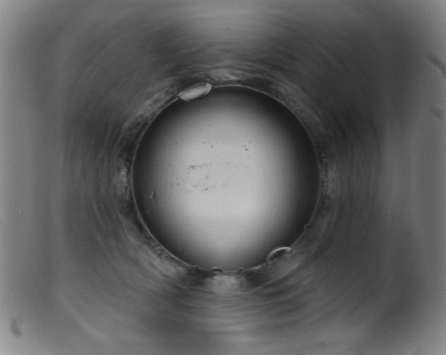 X0000099540418200805161432