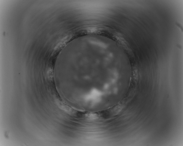 X0000099540419200805161432