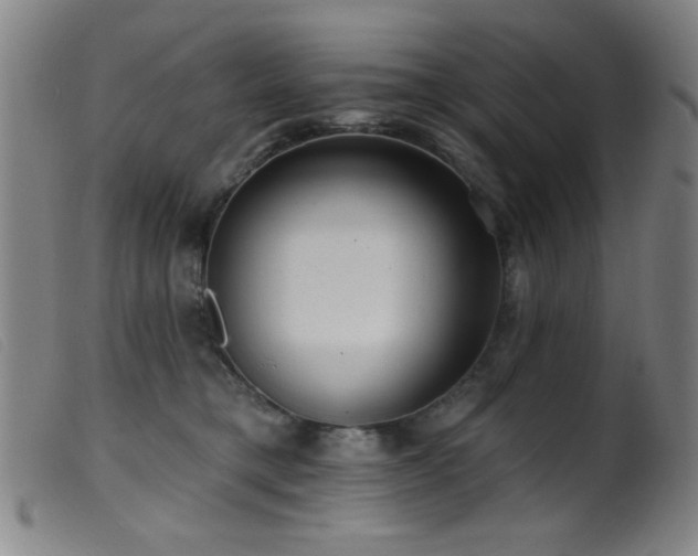 X0000099540421200805161432