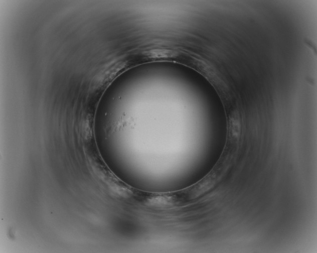 X0000099540422200805161432