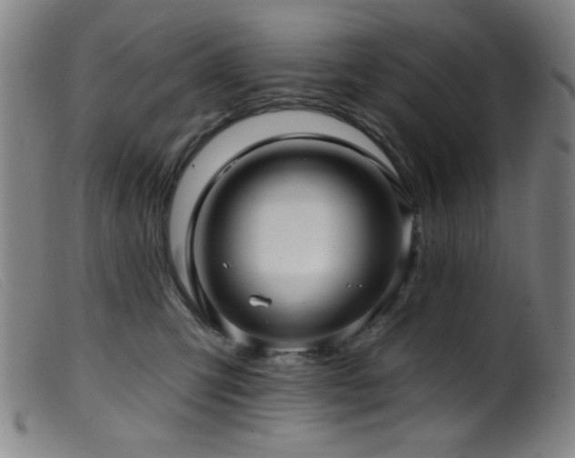 X0000099540423200805161432