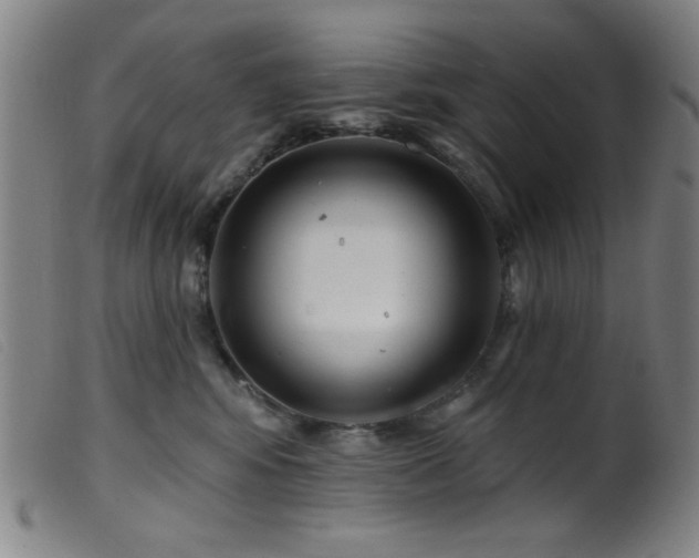 X0000099540424200805161432