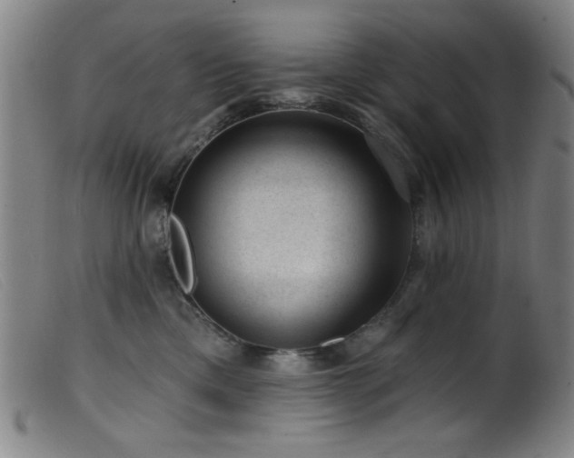 X0000099540425200805161432