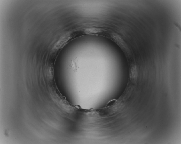 X0000099540426200805161432