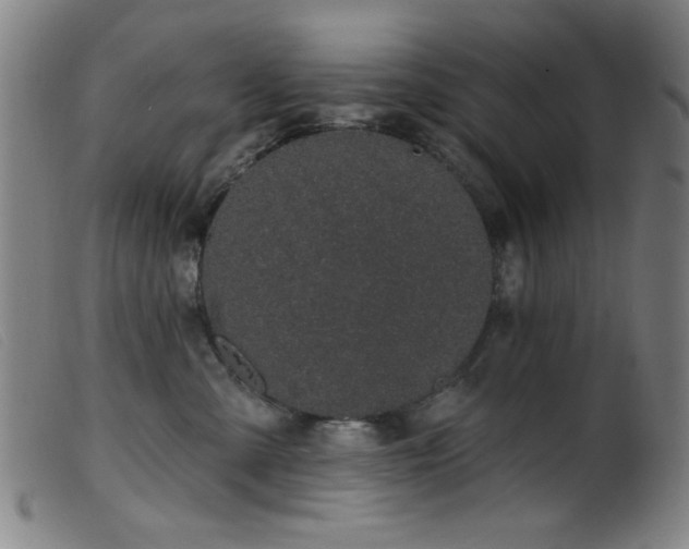 X0000099540427200805161432