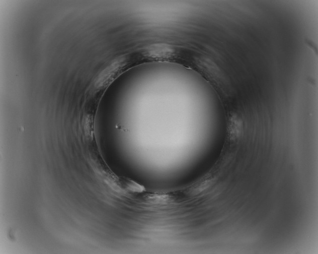 X0000099540428200805161432