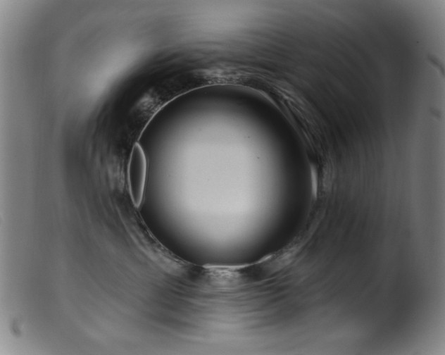 X0000099540429200805161432