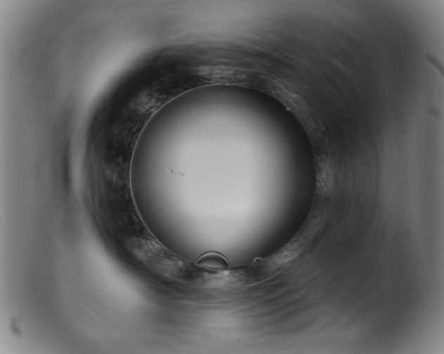 X0000099540430200805161432