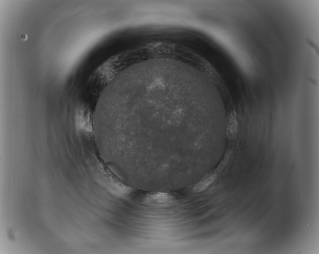 X0000099540431200805161432