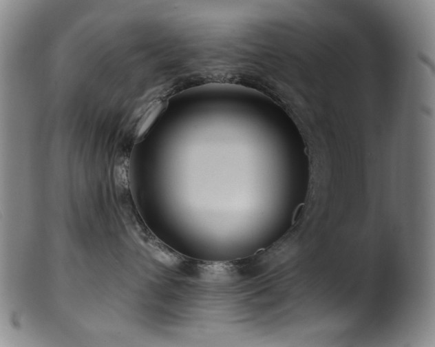 X0000099540432200805161432