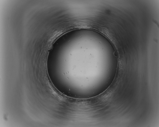 X0000099540433200805161431