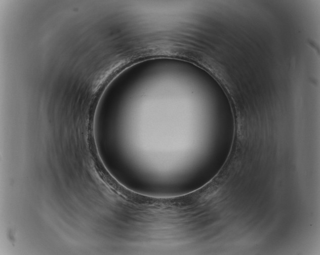 X0000099540434200805161431