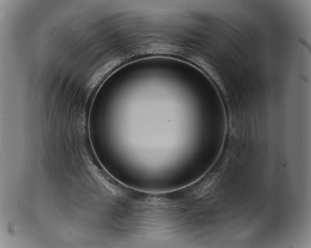 X0000099540437200805161431