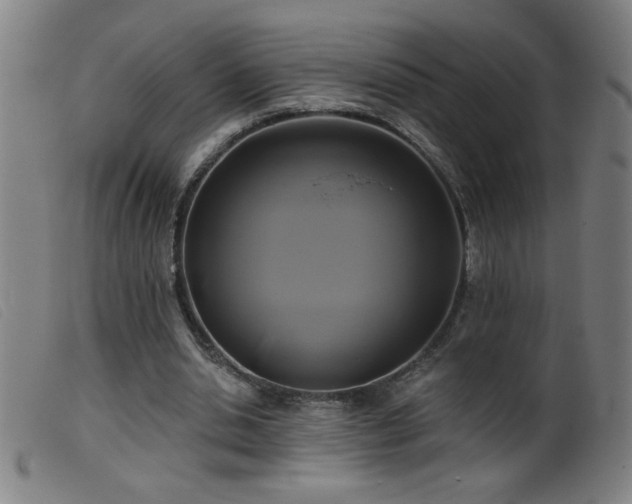 X0000099540438200805161431