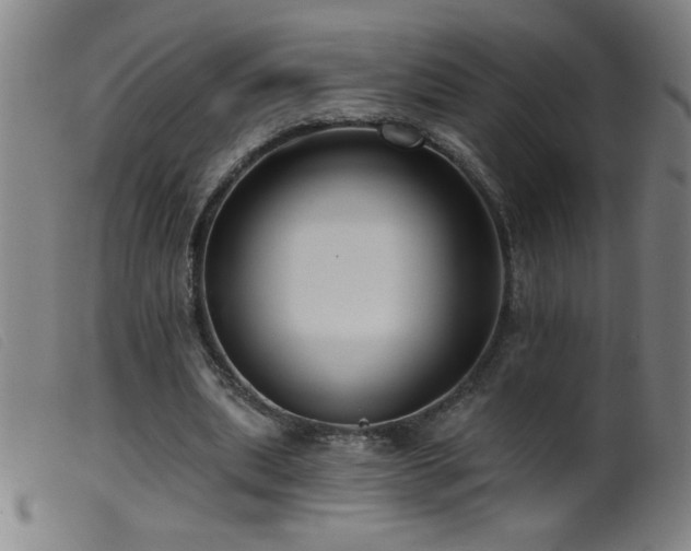 X0000099540439200805161432