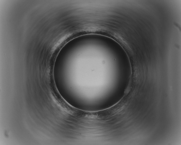 X0000099540440200805161432