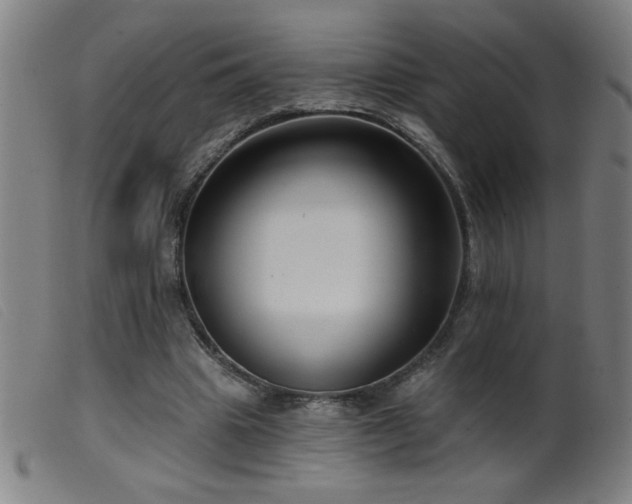 X0000099540441200805161432