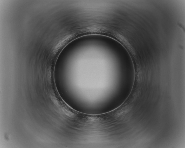 X0000099540442200805161432