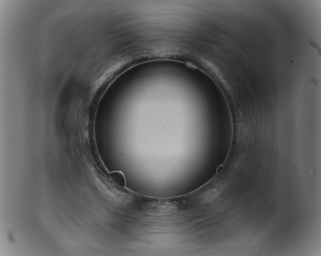 X0000099540443200805161432