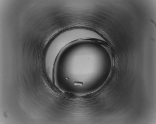 X0000099540444200805161432